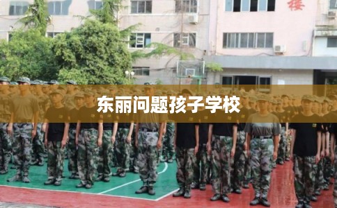 东丽问题孩子学校