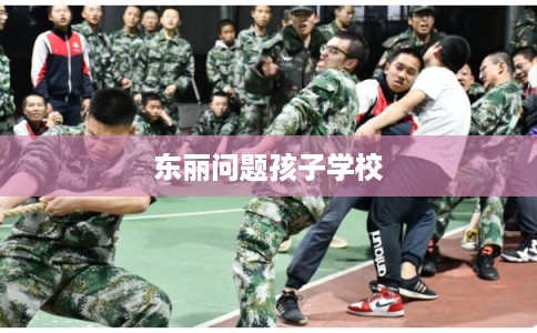 东丽问题孩子学校