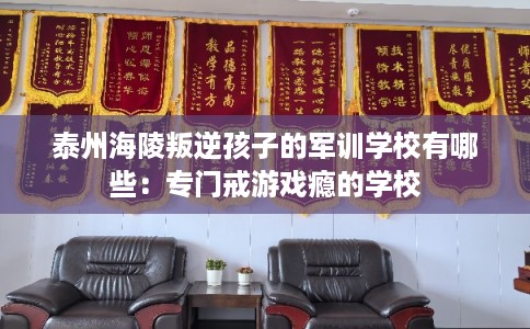 泰州海陵叛逆孩子的军训学校有哪些：专门戒游戏瘾的学校