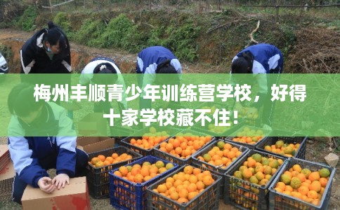 梅州丰顺青少年训练营学校,好得十家学校藏不住! 梅州丰顺青少年训练营学校,好得十家学校藏不住!