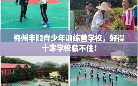 梅州丰顺青少年训练营学校，好得十家学校藏不住！