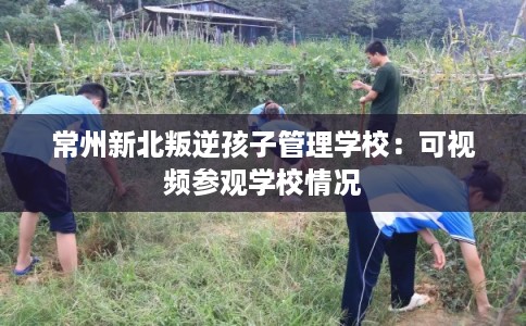 常州新北叛逆孩子管理学校：可视频参观学校情况