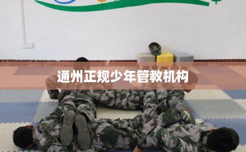 通州正规少年管教机构