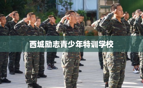 西城励志青少年特训学校
