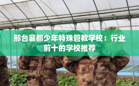 邢台襄都少年特殊管教学校：行业前十的学校推荐