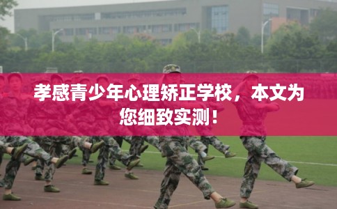 孝感青少年心理矫正学校，本文为您细致实测！