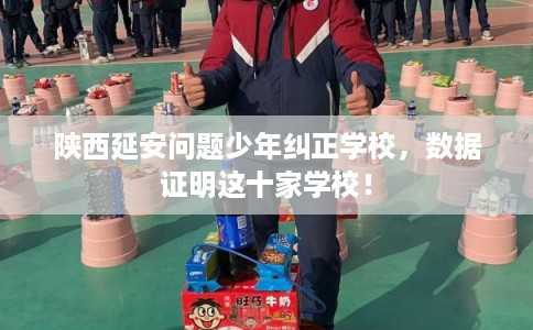 陕西延安问题少年纠正学校，数据证明这十家学校！