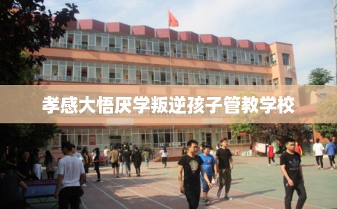 孝感大悟厌学叛逆孩子管教学校