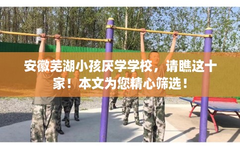 安徽芜湖小孩厌学学校，请瞧这十家！本文为您精心筛选！