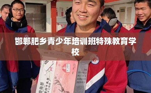 邯郸肥乡青少年培训班特殊教育学校