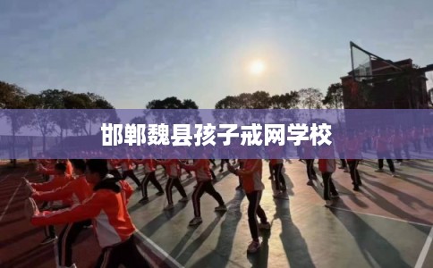 邯郸魏县孩子戒网学校 邯郸魏县孩子戒网学校