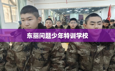 东丽问题少年特训学校 东丽问题少年特训学校