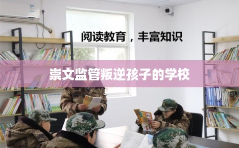 崇文监管叛逆孩子的学校