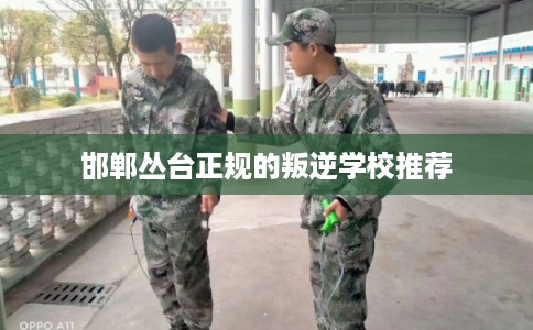 邯郸丛台正规的叛逆学校推荐 邯郸丛台正规的叛逆学校推荐
