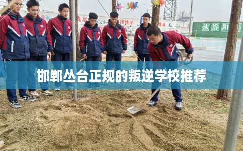 邯郸丛台正规的叛逆学校推荐