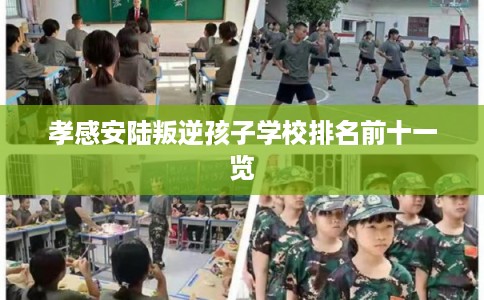 孝感安陆叛逆孩子学校排名前十一览