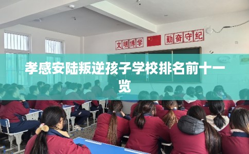 孝感安陆叛逆孩子学校排名前十一览