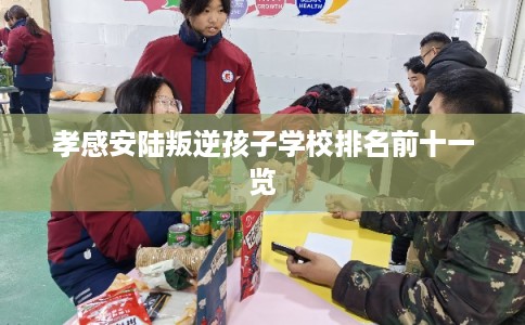 孝感安陆叛逆孩子学校排名前十一览