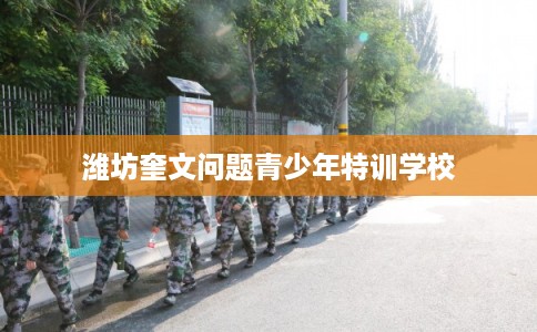 潍坊奎文问题青少年特训学校