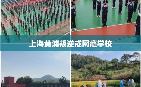 上海黄浦叛逆戒网瘾学校 上海黄浦叛逆戒网瘾学校