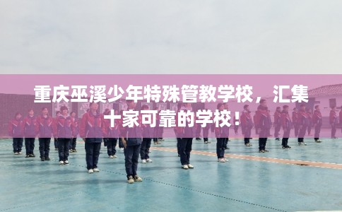 重庆巫溪少年特殊管教学校，汇集十家可靠的学校！