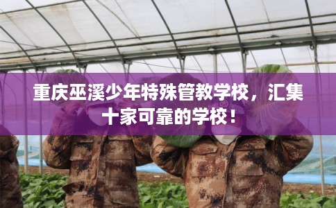 重庆巫溪少年特殊管教学校，汇集十家可靠的学校！