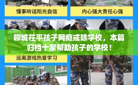 聊城茌平孩子网瘾戒除学校，本篇归档十家帮助孩子的学校！