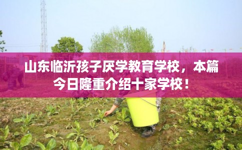山东临沂孩子厌学教育学校，本篇今日隆重介绍十家学校！