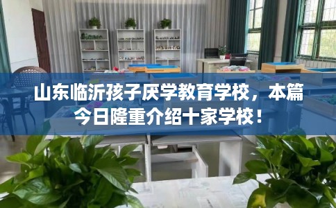 山东临沂孩子厌学教育学校，本篇今日隆重介绍十家学校！