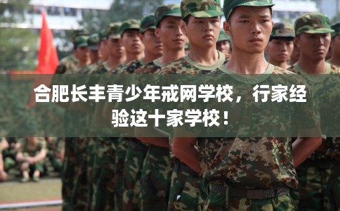 合肥长丰青少年戒网学校，行家经验这十家学校！