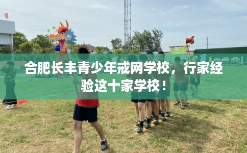 合肥长丰青少年戒网学校，行家经验这十家学校！