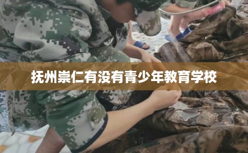 抚州崇仁有没有青少年教育学校 抚州崇仁有没有青少年教育学校