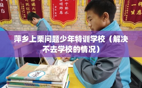 萍乡上栗问题少年特训学校（解决不去学校的情况）