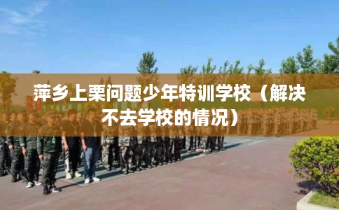 萍乡上栗问题少年特训学校（解决不去学校的情况）