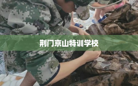 荆门京山特训学校 荆门京山特训学校