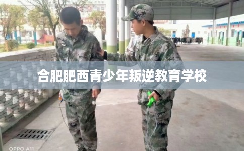 合肥肥西青少年叛逆教育学校