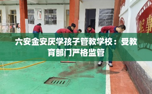 六安金安厌学孩子管教学校：受教育部门严格监管