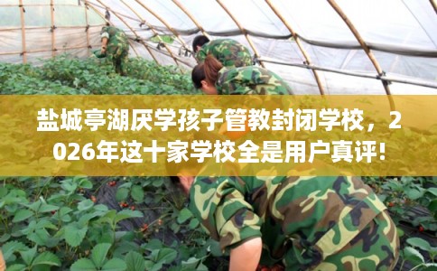 盐城亭湖厌学孩子管教封闭学校，2026年这十家学校全是用户真评!