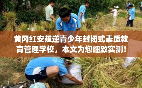 黄冈红安叛逆青少年封闭式素质教育管理学校,本文为您细致实测! 黄冈红安叛逆青少年封闭式素质教育管理学校,本文为您细致实测!