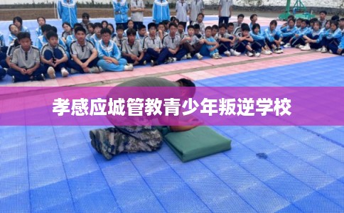 孝感应城管教青少年叛逆学校