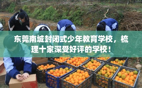 东莞南城封闭式少年教育学校,梳理十家深受好评的学校! 东莞南城封闭式少年教育学校,梳理十家深受好评的学校!