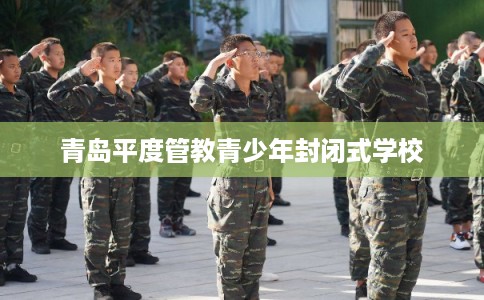 青岛平度管教青少年封闭式学校