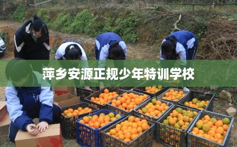 萍乡安源正规少年特训学校 萍乡安源正规少年特训学校