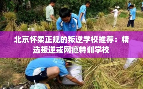 北京怀柔正规的叛逆学校推荐:精选叛逆戒网瘾特训学校 北京怀柔正规的叛逆学校推荐:精选叛逆戒网瘾特训学校