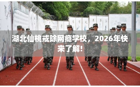 湖北仙桃戒除网瘾学校,2026年快来了解! 湖北仙桃戒除网瘾学校,2026年快来了解!