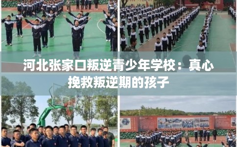 河北张家口叛逆青少年学校:真心挽救叛逆期的孩子 河北张家口叛逆青少年学校:真心挽救叛逆期的孩子