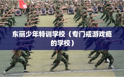 东丽少年特训学校（专门戒游戏瘾的学校）