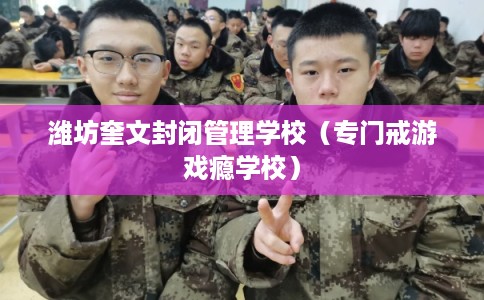 潍坊奎文封闭管理学校(专门戒游戏瘾学校) 潍坊奎文封闭管理学校(专门戒游戏瘾学校)