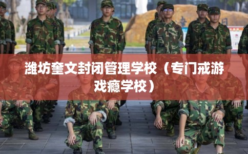 潍坊奎文封闭管理学校（专门戒游戏瘾学校）