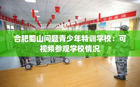 合肥蜀山问题青少年特训学校：可视频参观学校情况